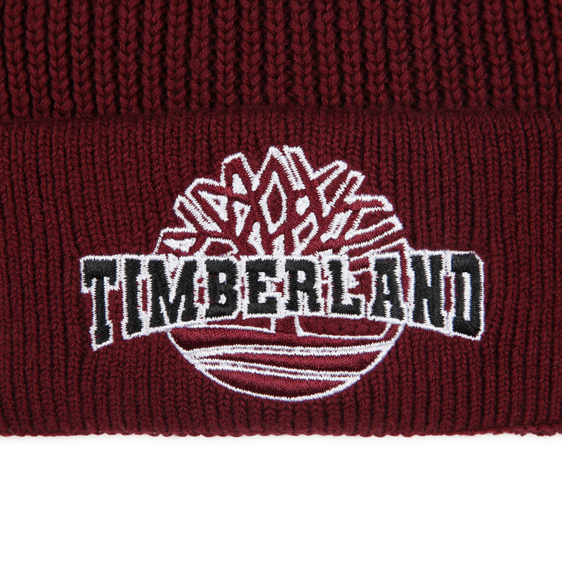 Embroidered Knit Hat TIMBERLAND 
                    BOY