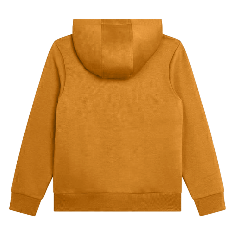 HOODED SWEATSHIRT TIMBERLAND 
                    BOY