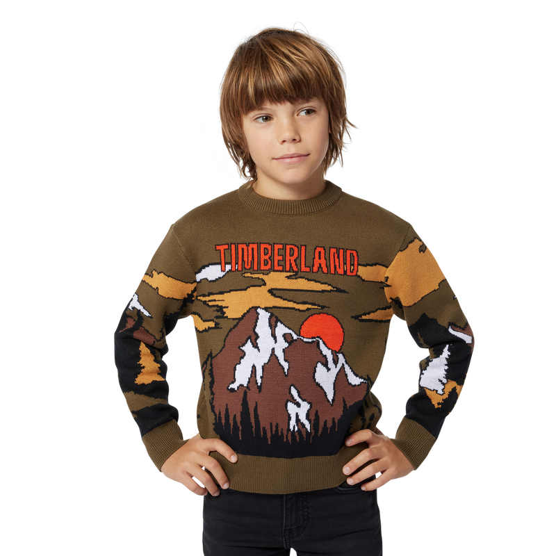 Cotton & Wool Sweater TIMBERLAND 
                    BOY