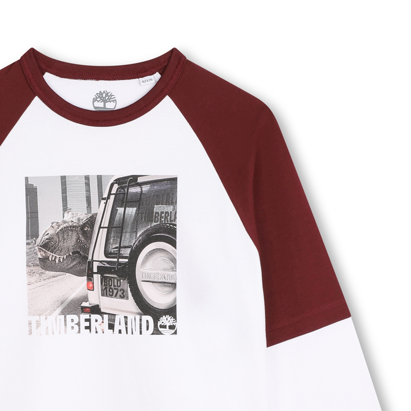 Two-Tone Graphic Print T-Shirt TIMBERLAND 
                    BOY